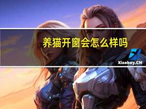 养猫开窗会怎么样吗