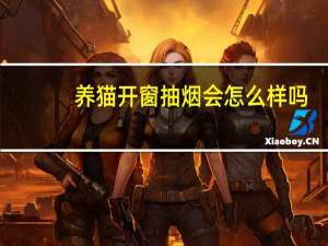 养猫开窗抽烟会怎么样吗