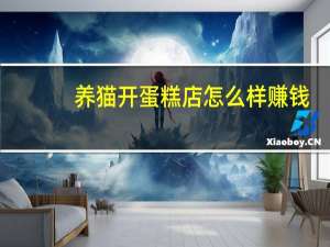 养猫开蛋糕店怎么样赚钱