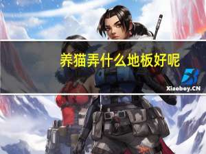 养猫弄什么地板好呢