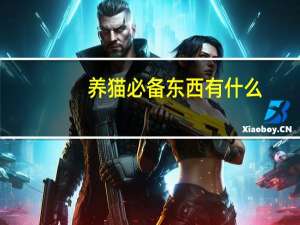 养猫必备东西有什么
