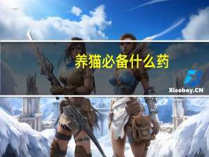 养猫必备什么药