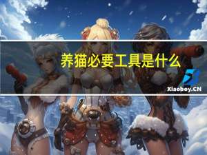 养猫必要工具是什么