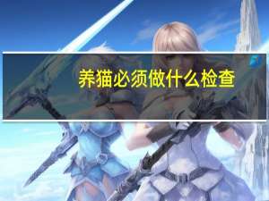 养猫必须做什么检查