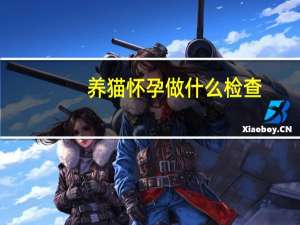养猫怀孕做什么检查