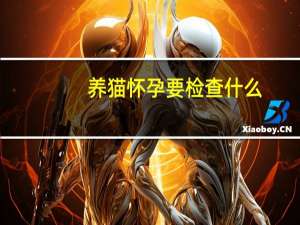 养猫怀孕要检查什么