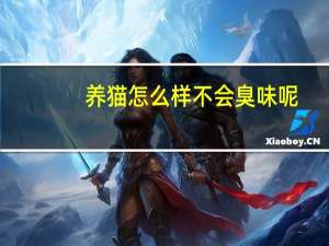 养猫怎么样不会臭味呢