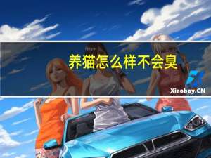 养猫怎么样不会臭