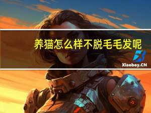 养猫怎么样不脱毛毛发呢