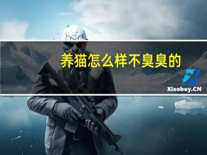 养猫怎么样不臭臭的