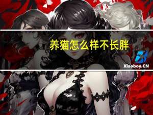 养猫怎么样不长胖