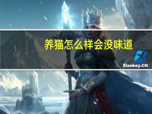 养猫怎么样会没味道