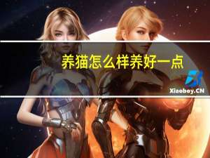 养猫怎么样养好一点