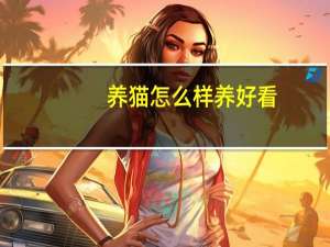 养猫怎么样养好看
