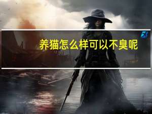 养猫怎么样可以不臭呢