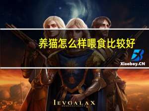 养猫怎么样喂食比较好