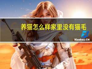 养猫怎么样家里没有猫毛