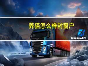 养猫怎么样封窗户