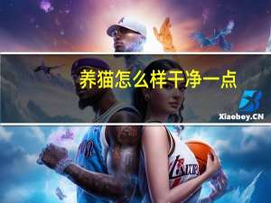 养猫怎么样干净一点