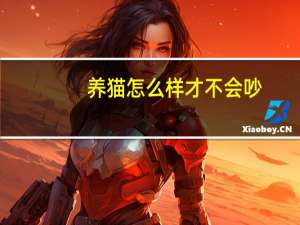 养猫怎么样才不会吵