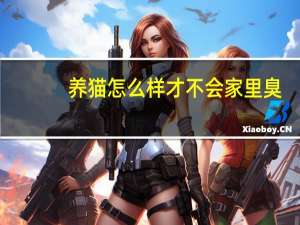 养猫怎么样才不会家里臭