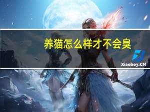 养猫怎么样才不会臭