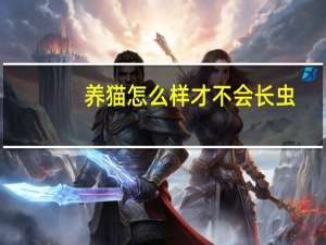 养猫怎么样才不会长虫