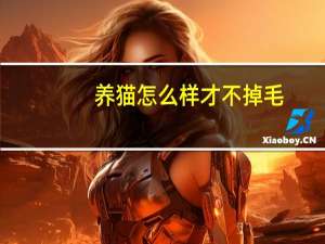 养猫怎么样才不掉毛