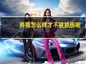 养猫怎么样才不被抓伤呢
