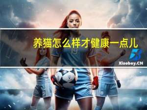 养猫怎么样才健康一点儿