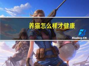 养猫怎么样才健康