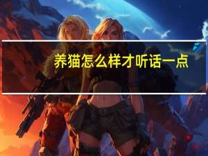 养猫怎么样才听话一点