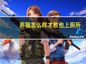 养猫怎么样才教他上厕所