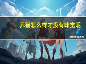 养猫怎么样才没有味觉呢