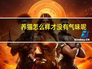 养猫怎么样才没有气味呢