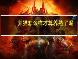 养猫怎么样才算养熟了呢