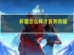 养猫怎么样才算养熟猫