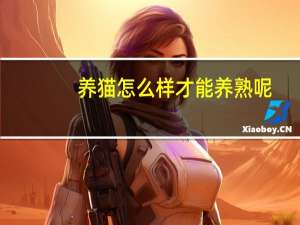 养猫怎么样才能养熟呢