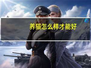 养猫怎么样才能好
