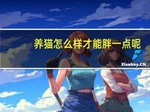 养猫怎么样才能胖一点呢