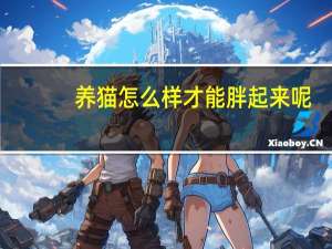 养猫怎么样才能胖起来呢