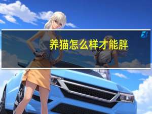 养猫怎么样才能胖