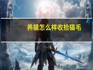 养猫怎么样收拾猫毛
