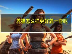 养猫怎么样更好养一些呢
