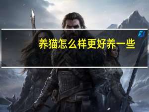 养猫怎么样更好养一些