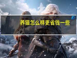 养猫怎么样更省钱一些