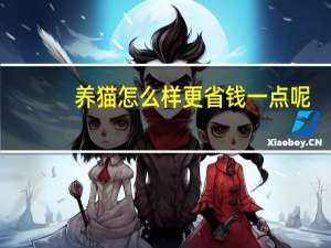 养猫怎么样更省钱一点呢