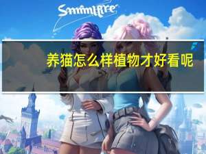 养猫怎么样植物才好看呢
