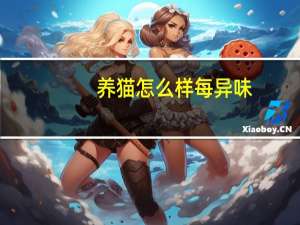 养猫怎么样每异味
