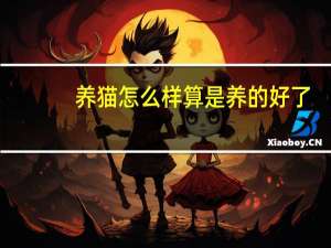 养猫怎么样算是养的好了